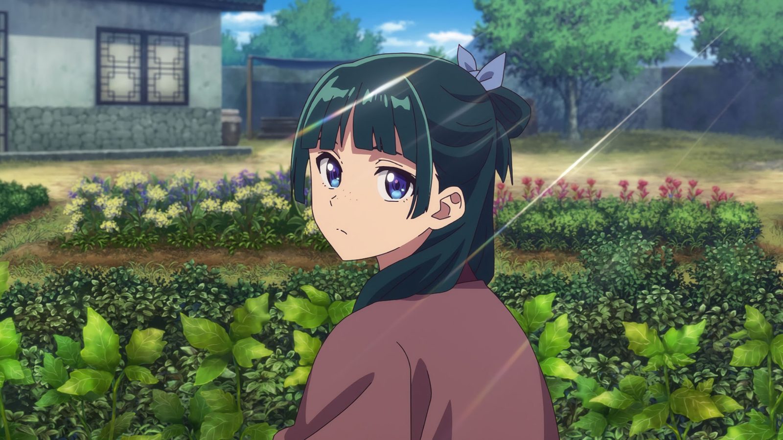 Picture background