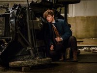  2016 Warner Bros. Ent.  All Rights Reserved.  <br />
Harry Potter and Fantastic Beasts Publishing Rights  JKR.