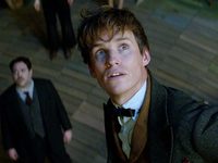  2016 Warner Bros. Ent.  All Rights Reserved.  <br />
Harry Potter and Fantastic Beasts Publishing Rights  JKR.