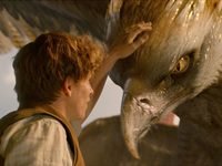  2016 Warner Bros. Ent.  All Rights Reserved.  <br />
Harry Potter and Fantastic Beasts Publishing Rights  JKR.