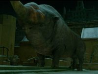  2016 Warner Bros. Ent.  All Rights Reserved.  <br />
Harry Potter and Fantastic Beasts Publishing Rights  JKR.