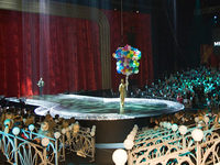 «MISS DIM-2008»
