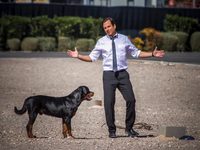«Псы под прикрытием» приглашают на спецпоказ 
фотографии