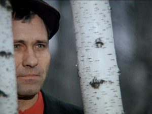 Шаркнули по душе: «Калина красная» как кино, которое мы так и не приобрели