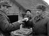 Все фильмы Алексея Германа на большом экране 
фотографии