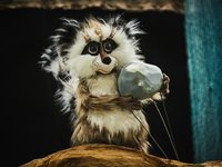 Крошка Енот