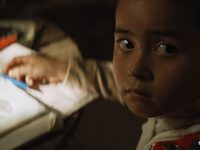 (2023) 
