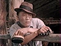   (1956) -  11
