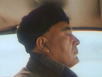 Прощай, зелень лета... (1985) 
фотографии