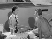    (1955)