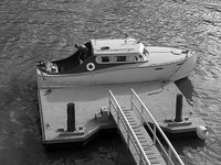    (1955)