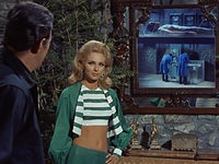   (1966) -  29