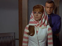   (1966) -  36