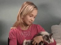  -5 (2011)