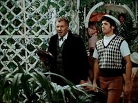 12  (1976) - 4- 