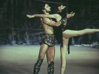 (1979)