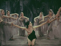  (1979) 
