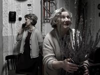    (2016) -  77