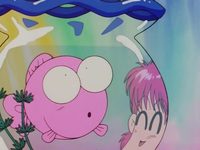!  ! (1991-1992) 
