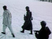    (1975) 
