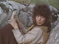   (1984) 
