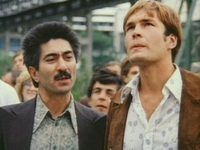    (1981) 
