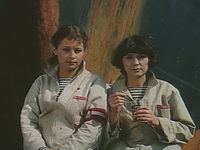   (1981) -  12