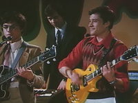   (1981)