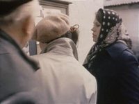    (1981) -  15