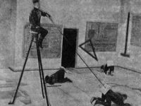 ,  ! (1931) 
