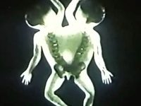    (1993) -  10