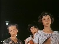    (1978) -  3