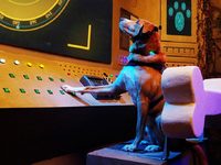ϸ   (2020) 
