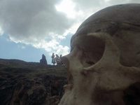      (1975)