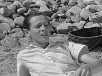    (1954) 
