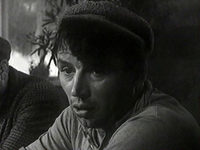 ,   (1962)