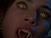   2 (1988) 
