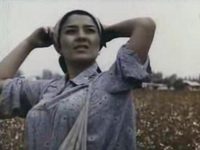 - (1990) -  34