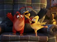 Angry Birds   (2016) 
