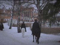   (2017) 
