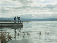   (2023) 
