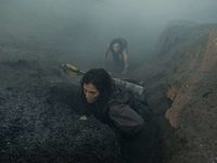   (2021)