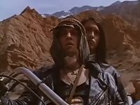   (1993)