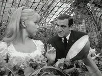  -   (1964)