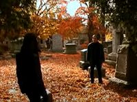   (2003)