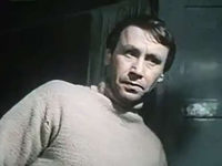  (1984) 
