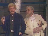  (1981)