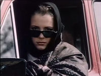    (1991) 
