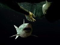  2 (2019) 
