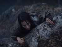 ̸  (2017) 
